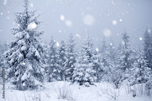 Trees covered with hoarfrost and snow in winter mountains - Christmas snowy backgroundic holiday background