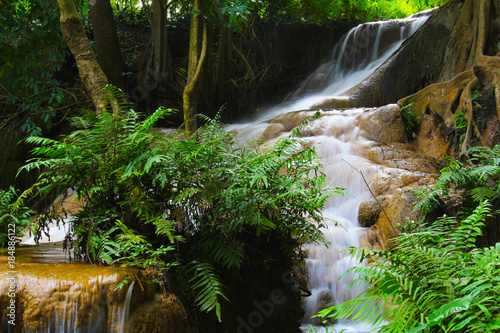 Fototapeta Naklejka Na Ścianę i Meble -  Piang din Waterfall., loei province Thailand