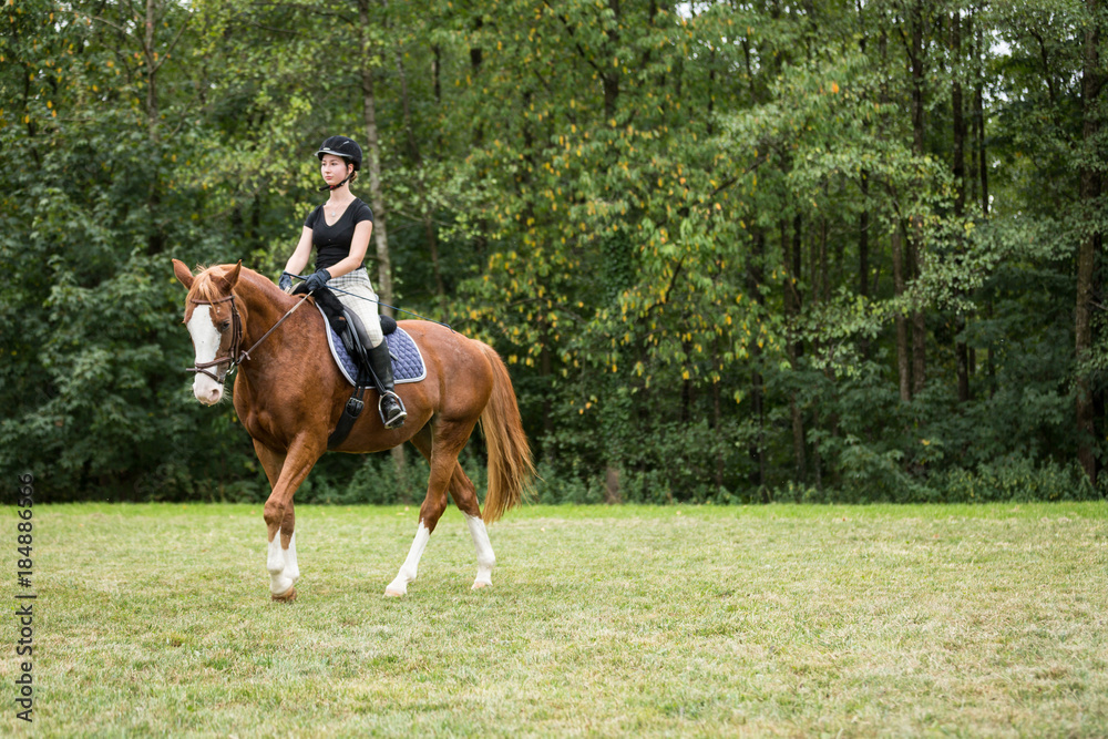 Young Woman Riding Her Horse Young Woman Riding Her Horse