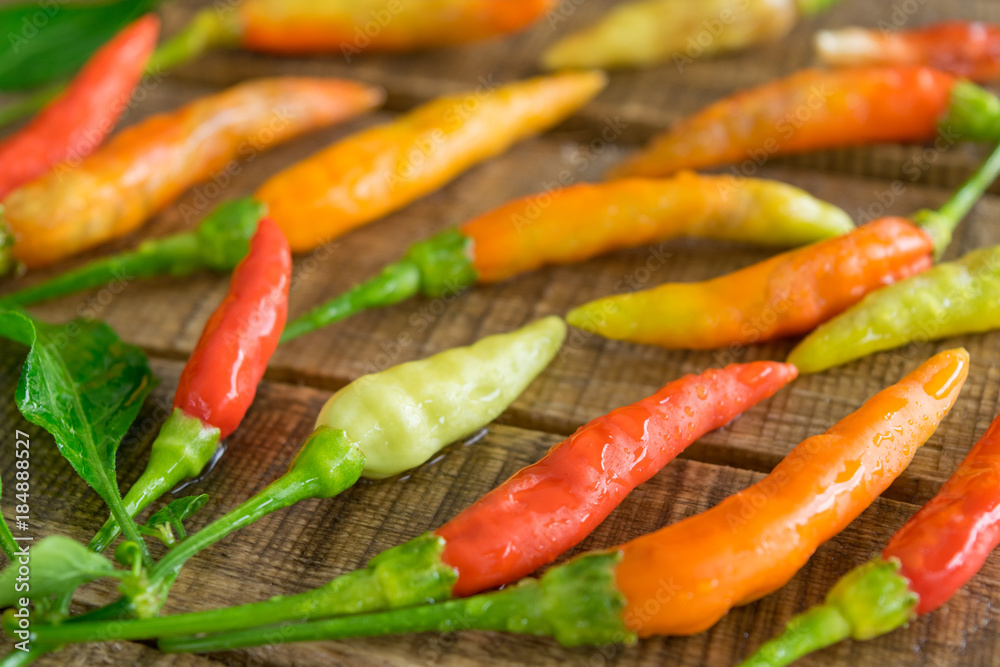 chili, pepper on old table wood background chili, pepper on old table wood background