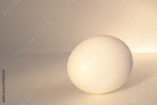 egg on a gray background
