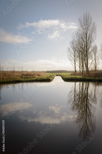 Dutch polder near Delft with beautiful reflection of the poplar trees in the water Netherland