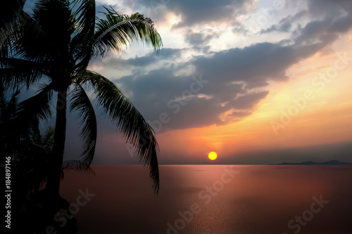 Dramatic atmosphere panorama view of beautiful sunset sky and clouds with open view of ocean and silhouette coconut trees.