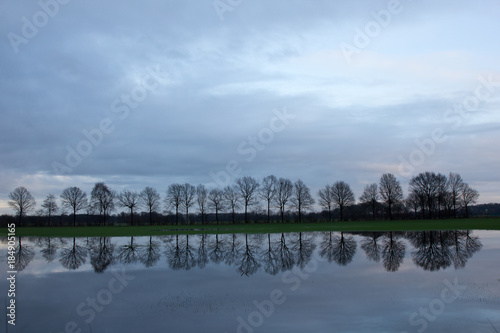 Überflutete Wiese mit Baumreihe © Martin_P