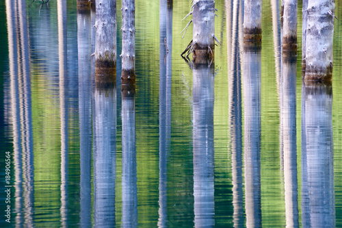 Beautiful trees rise above the water’s surface from the bottom of the lake.  Lake Kaindy, meaning the 