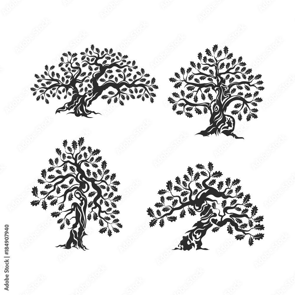 Huge and sacred oak tree silhouette logo isolated on white background.