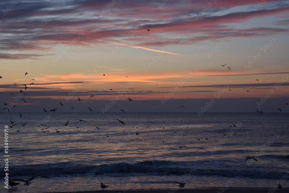 Naklejka premium Sunrise in Myrtle Beach