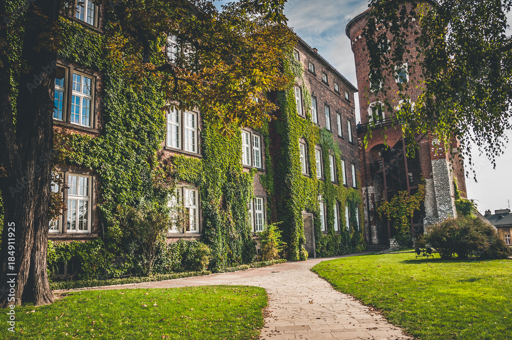 Big building covered with ivy