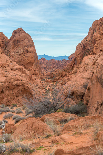 Rock desert in Arizona