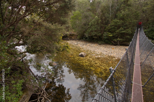 Suspension bridge on Nelson Falls Nature Trail in Tasmania
 photo