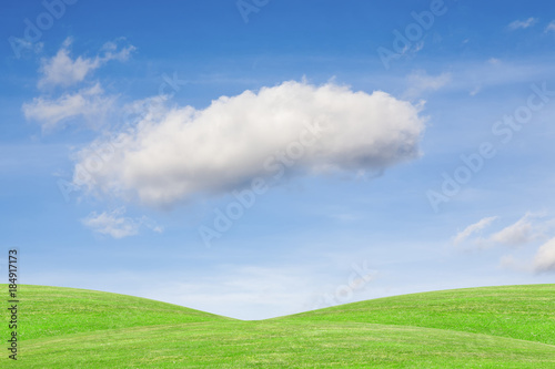 Ecological green land. Feather cloud on the blue sky, over green meadow - great as a background