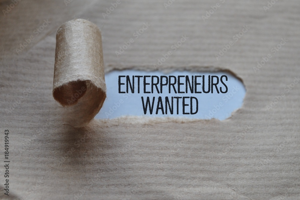 Enterpreneurs wanted - obrazy, fototapety, plakaty 