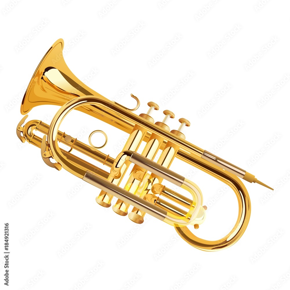 Obraz premium saxophone