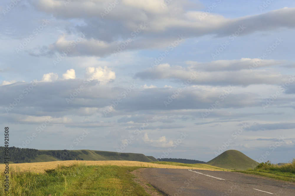 Fototapeta premium summer landscape