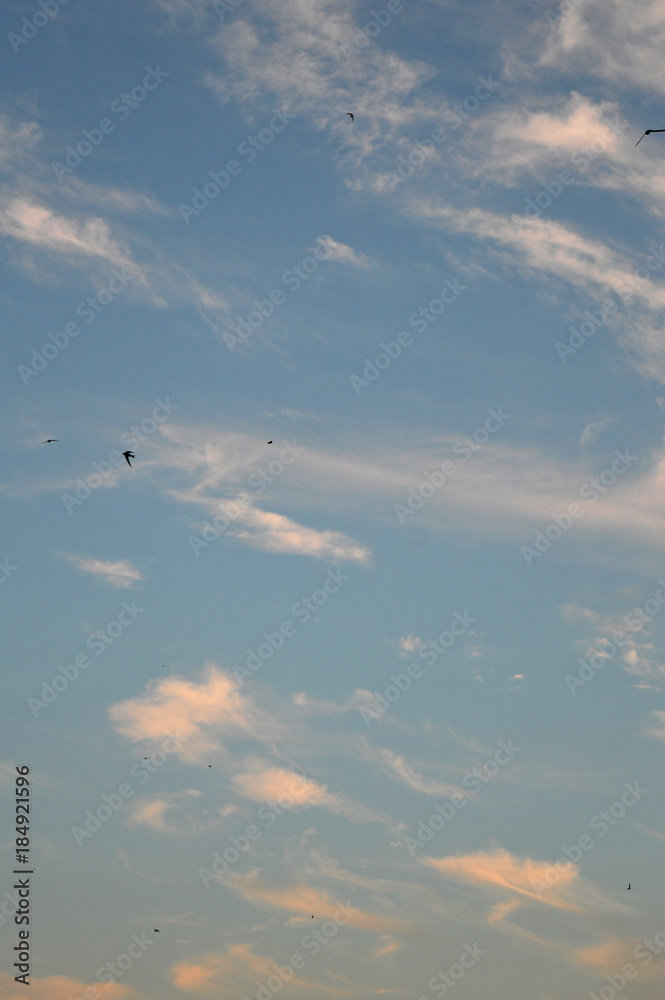 Fototapeta premium Beautiful eveing sky with clouds