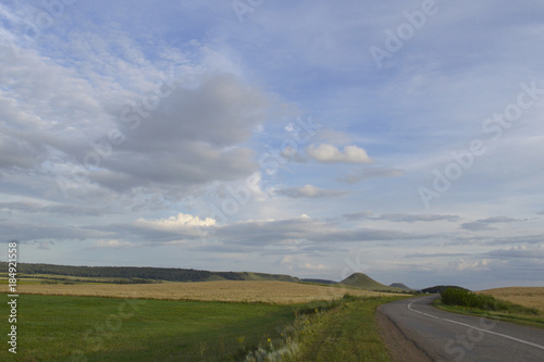 summer landscape