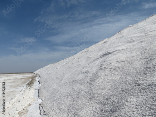 salar 