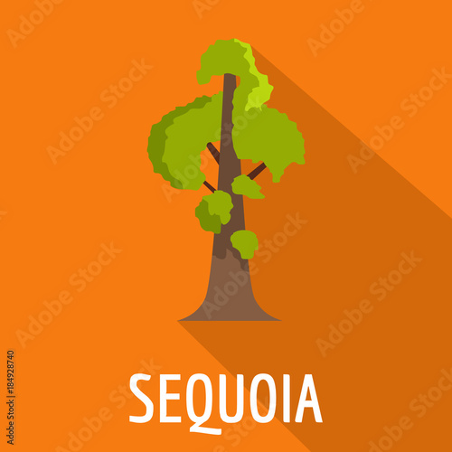 Sequoia icon. Flat illustration of sequoia vector icon for web