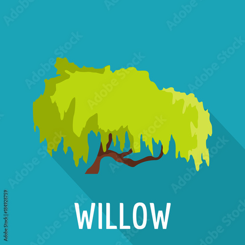 Willow tree icon. Flat illustration of willow tree vector icon for web