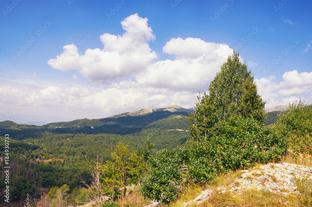 Beautiful summer landscape in mountains.  Balkans, Montenegro, Niksic region