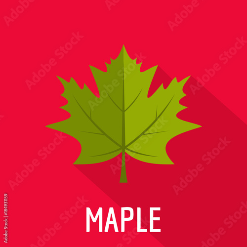 Maple leaf icon. Flat illustration of maple leaf vector icon for web