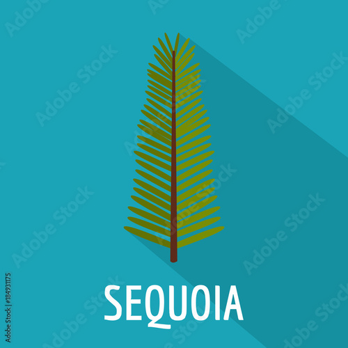 Sequoia leaf icon. Flat illustration of sequoia leaf vector icon for web