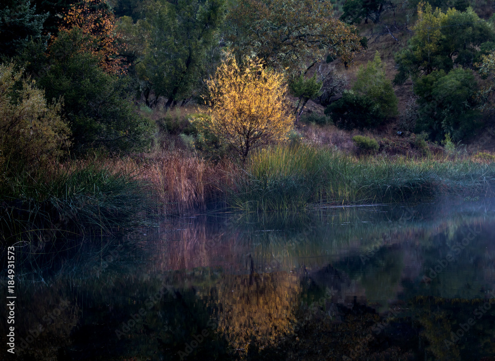 impressionist lake