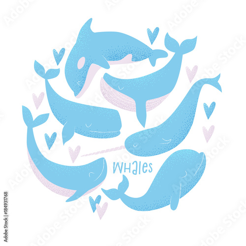 Vector card with blue whale