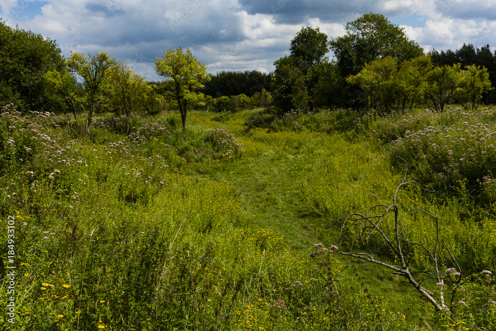 Hiking the GR5 trail in the Benelux