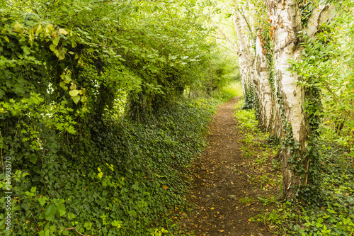 Hiking the GR5 trail in the Benelux