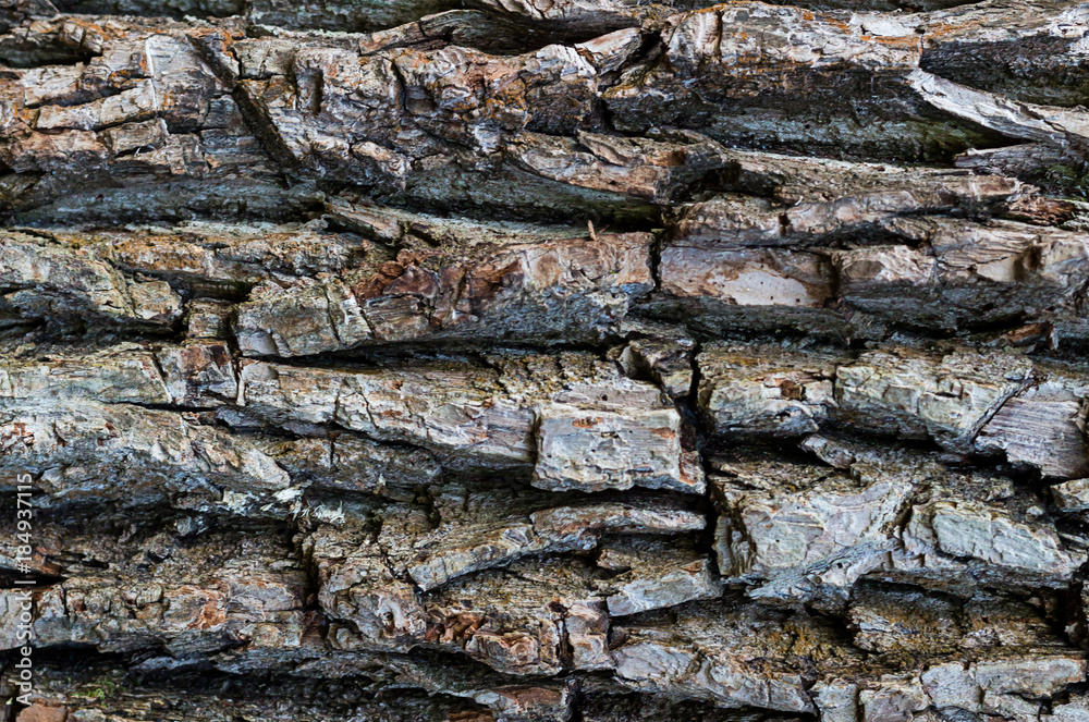 wooden bark natural weathered pattern with deep cavities horizontal, weathered texture wooden bark natural weathered pattern with deep cavities horizontal, weathered texture