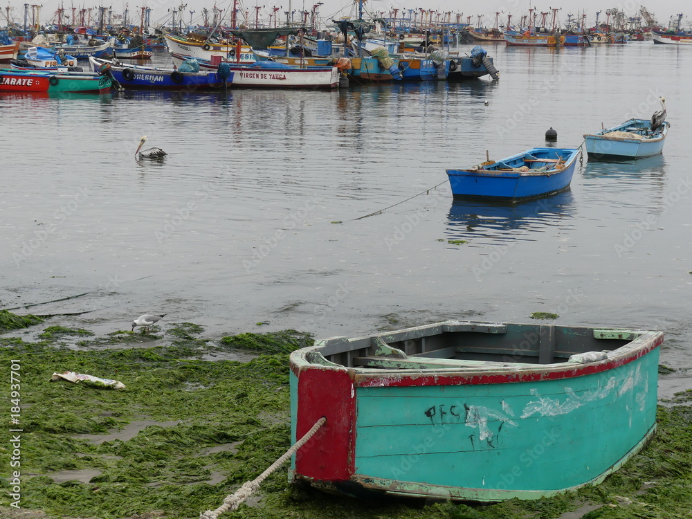 Paracas au Pérou Paracas au Pérou