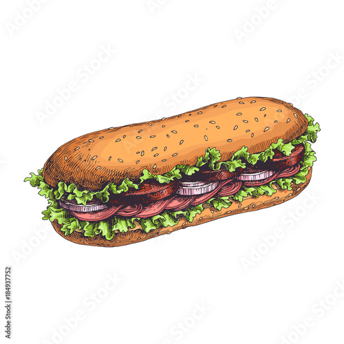 Vector  hand drawn delicious sandwich with fresh vegetables, lettuce leaves and bacon pieces. Vintage color illustration of traditional fast food isolated on white. Engraved style