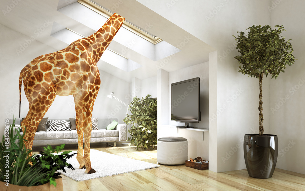 Außergewöhnliche Giraffenwohnung - obrazy, fototapety, plakaty 