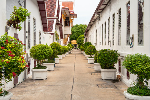 Narrow street with small green bushes in the downtown on Bangkok