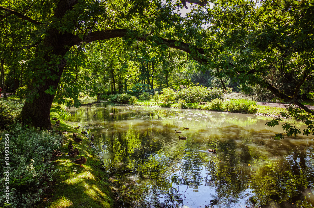 Small river in the park with the reflection of green trees in water