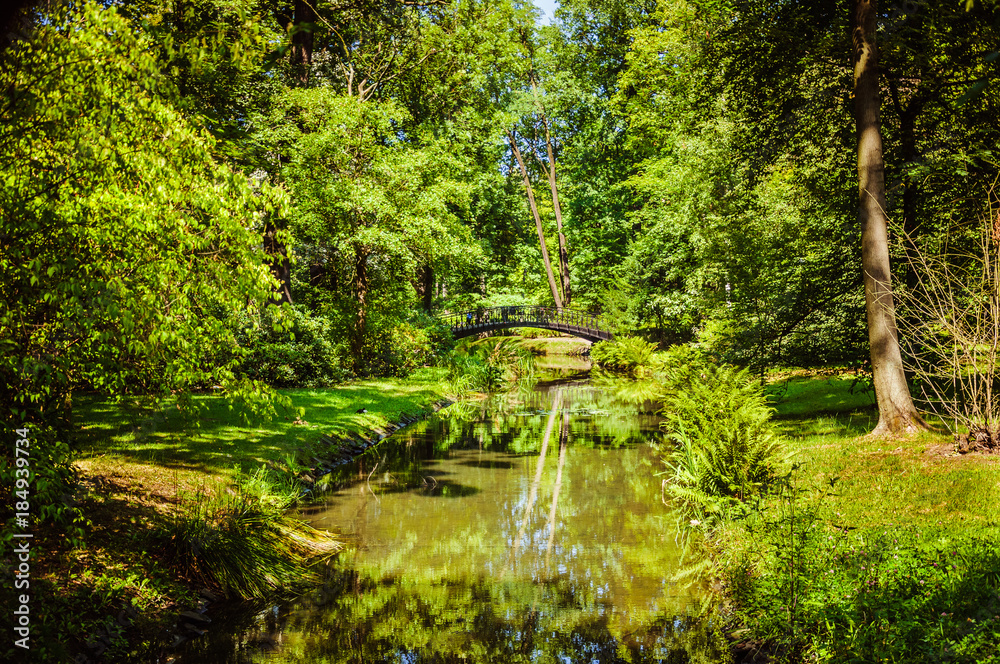 Small lake in the green park, surrounded by green trees and blue sky on the background Small lake in the green park, surrounded by green trees and blue sky on the background