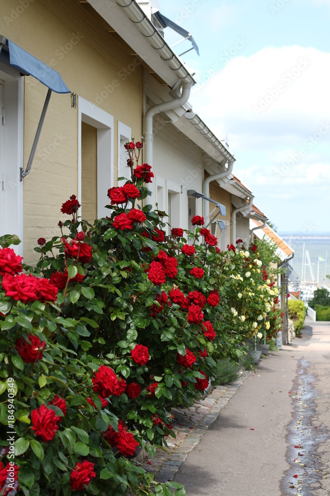 Obraz premium house with flowers