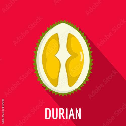 Durian icon. Flat illustration of durian vector icon for web
