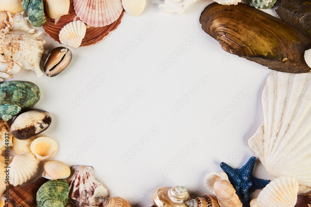 Fototapeta premium Sea shell frame
