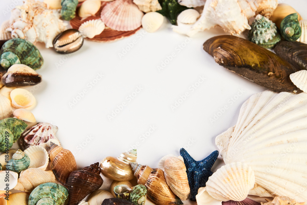 Obraz premium Sea shell frame