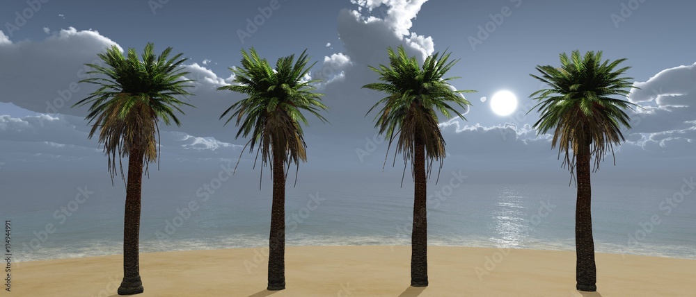 row of palm trees on the beach, tropical beach
