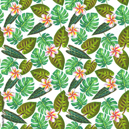Tropical exotic plants back...