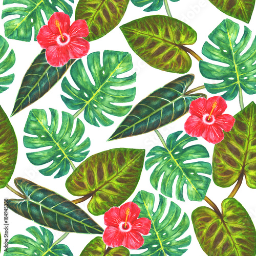 Tropical exotic plants back...