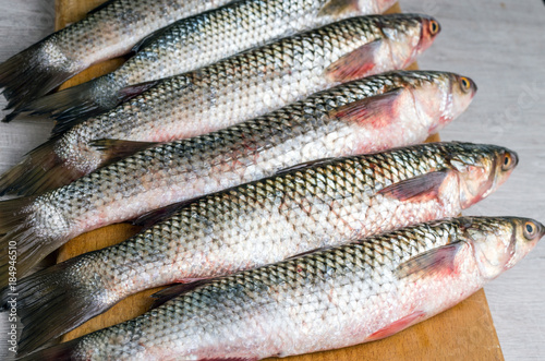 Foto Fresh mullet fish. Selective focus.