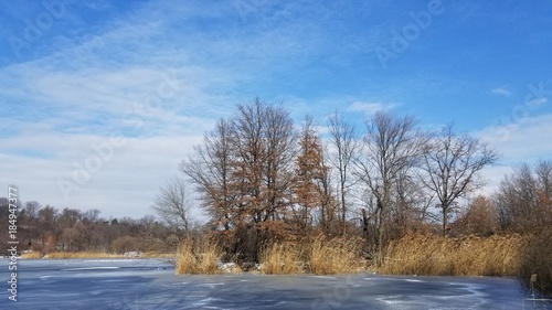 Winter Lakeside