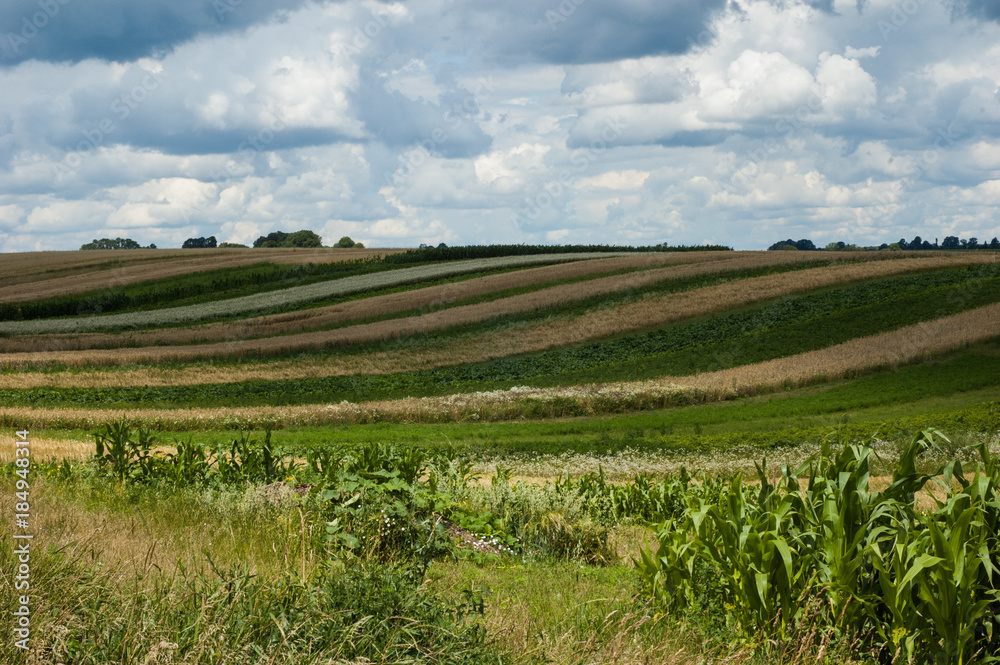 Fototapeta premium Landscape with various fields and a blue sky.