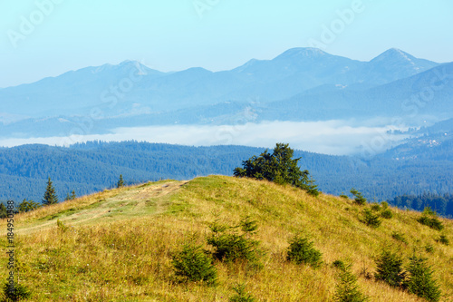 Summer mountain view (Carpathians, Ukraine).