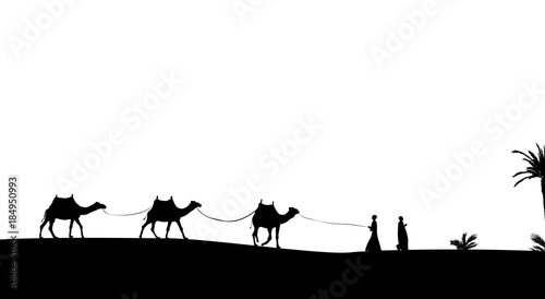 Silhouette of Caravan mit people and camels wandering through th