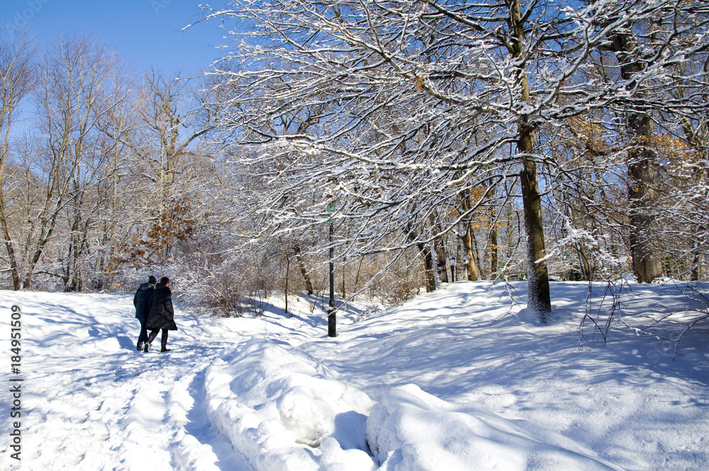 A couple walks through a snow trail during winter. Trees in background